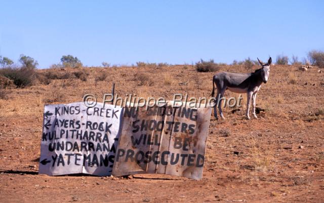 australie territoire du nord 10.JPG - Ane et panneau : Ne pas tirer, les chasseurs seront poursuivisCentre RougeTerritoire du NordAustralie